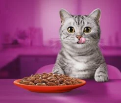 Whiskas 1+ Natvoer - Classic - Selectie In Saus - Maaltijdzakjes 40 X 85 G -Katten Benodigdheden Winkel 1200x1019 7