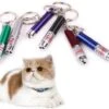 Merkloos Laser Lampje Voor Kat - Met Mini Zaklamp - Kattenlampje -Katten Benodigdheden Winkel 1200x1021 2