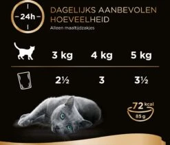 Sheba Mini Filets In Saus Kattenvoer Maaltijdzakjes Gevogelte 40 X 85 G -Katten Benodigdheden Winkel 1200x1027
