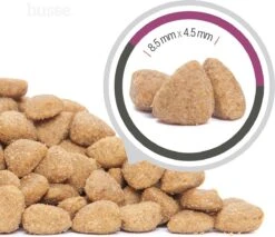 Husse Exclusive Katt Sterilised - Kattenvoer -7 Kg 12 Husse Exclusive Katt Sterilised - Kattenvoer -7 Kg -Katten Benodigdheden Winkel 1200x1033 3