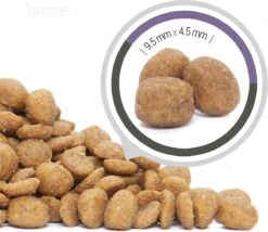 Husse Katt Urinary - Kattenvoer Blaasgruis - 7 Kg -Katten Benodigdheden Winkel 1200x1041