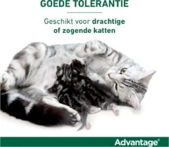 Bayer Advantage 40 Tegen Vlooien - <4kg - 4 X 0,4 Ml - Adult -Katten Benodigdheden Winkel 1200x1042 1