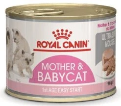 Royal Canin Wet Mother & Babycat Mousse - Kattenvoer - 195 Gr -Katten Benodigdheden Winkel 1200x1047