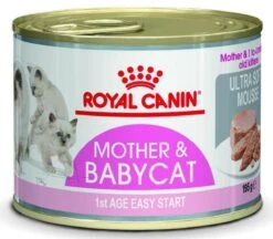 Royal Canin Wet Mother & Babycat Mousse - Kattenvoer - 195 Gr -Katten Benodigdheden Winkel 1200x1048 1
