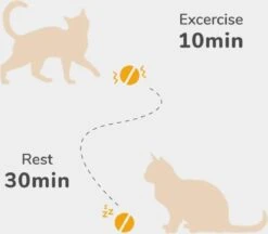 Cheerble Mini Ball 2.0 - Slimme Interactieve Zelf Rollende Bal Voor Katten - 3 Speelmodi - Kattenspeeltjes - USB Oplaadbaar - Rood 16 Cheerble Mini Ball 2.0 - Slimme Interactieve Zelf Rollende Bal Voor Katten - 3 Speelmodi - Kattenspeeltjes - USB Oplaadbaar - Rood -Katten Benodigdheden Winkel 1200x1051 5