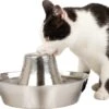 PetSafe® Seaside Stainless Steel Pet Fountain - RVS Drinkfontein Voor Katten En Kleine Honden - Water Borrelt Zacht Over De Toren - Door Het Design Van Alle Kanten Bereikbaar - 1,8 Liter - PetSafe Seaside -Katten Benodigdheden Winkel 1200x1055 3