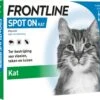 Frontline Spot-On Anti Vlooienmiddel Kat - 6 Pipetten 1 Frontline Spot-On Anti Vlooienmiddel Kat - 6 Pipetten -Katten Benodigdheden Winkel 1200x1057 2