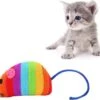 Merkloos EPIN | Pluche Regenboog Speelmuis | Katten Speelgoed | Speelmuizen | Speel Muisje -Katten Benodigdheden Winkel 1200x1057 9
