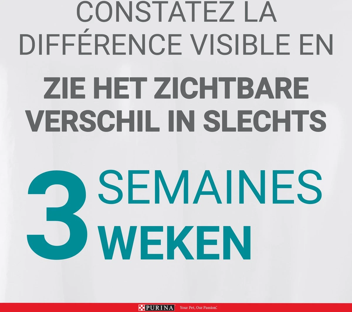 Purina One Sensitive - Kalkoen/Rijst - Kattenvoer - 800 G 8 Purina One Sensitive - Kalkoen/Rijst - Kattenvoer - 800 G - Afbeelding 6