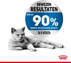 Royal Canin Light Weight Care - 3 Kg -Katten Benodigdheden Winkel 1200x1064 3