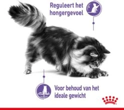 Royal Canin Appetite Control Care - Kattenvoer - 2 Kg -Katten Benodigdheden Winkel 1200x1066 6