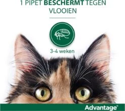 Bayer Advantage 40 Tegen Vlooien - <4kg - 4 X 0,4 Ml - Adult -Katten Benodigdheden Winkel 1200x1070 14