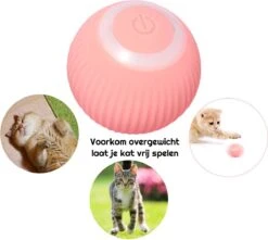 Otiume Slimme Katten Speeltje - Interactieve Zelf Rollende Bal Voor Katten - Kattenspeeltjes - USB Oplaadbaar- Turquoise -Katten Benodigdheden Winkel 1200x1072 1