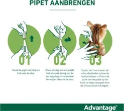 Bayer Anti Vlooienmiddel Advantage 80 > 4 Kg - 4 X 0,8 Ml -Katten Benodigdheden Winkel 1200x1073 1