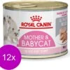Royal Canin Wet Mother & Babycat Mousse - Kattenvoer - 195 Gr -Katten Benodigdheden Winkel 1200x1081