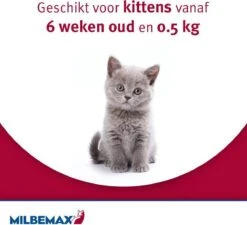 Elanco Milbemax Kitten & Kat - Anti Wormenmiddel - 2 Tab 0.5 Tot 2 Kg -Katten Benodigdheden Winkel 1200x1095 5