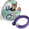 Natuurlijke Vlooienband - Katten - Paars - Zonder Giftige Pesticiden - 100% Natuurlijk - Vlooien En Teken - Milieuvriendelijk - Geur Halsband 1 Natuurlijke Vlooienband - Katten - Paars - Zonder Giftige Pesticiden - 100% Natuurlijk - Vlooien En Teken - Milieuvriendelijk - Geur Halsband -Katten Benodigdheden Winkel 1200x1096 3