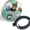 Natuurlijke Vlooienband - Katten - Zwart - Zonder Pesticiden Of Gif - Vlooien En Teken - Kattenbandje - Eco Friendly 1 Natuurlijke Vlooienband - Katten - Zwart - Zonder Pesticiden Of Gif - Vlooien En Teken - Kattenbandje - Eco Friendly -Katten Benodigdheden Winkel 1200x1096 4