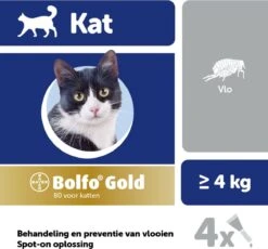 Bayer Bolfo Gold 80 Anti Vlooienmiddel - Kat - > 4 Kg - 4 Pipetten -Katten Benodigdheden Winkel 1200x1116 6