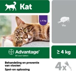 Bayer Anti Vlooienmiddel Advantage 80 > 4 Kg - 4 X 0,8 Ml -Katten Benodigdheden Winkel 1200x1117 8