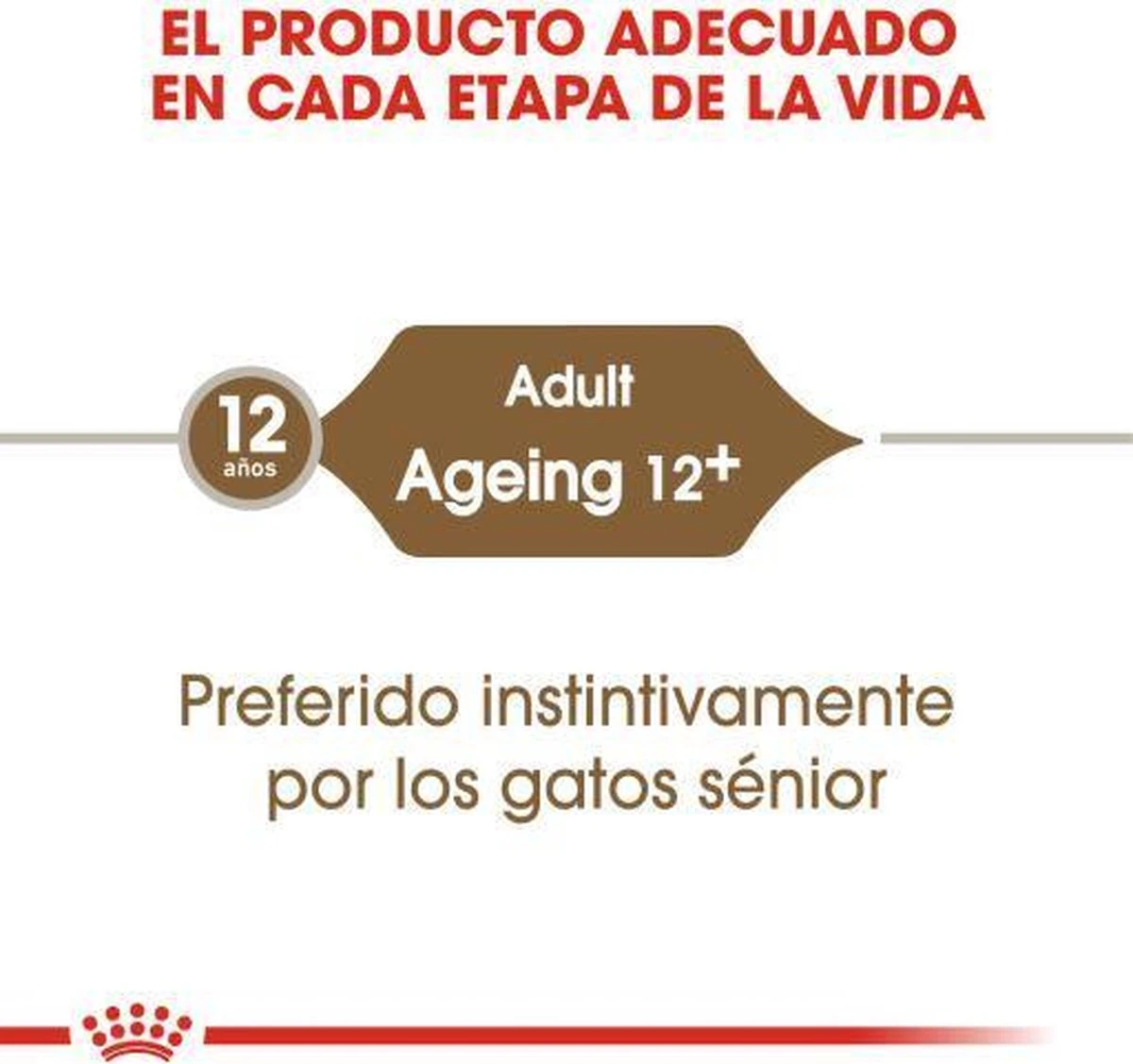 Royal Canin Wet Ageing 12+ (12X85 GR) 10 Royal Canin Wet Ageing 12+ (12X85 GR) - Afbeelding 8