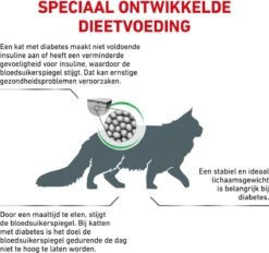 Royal Canin Diabetic - Kattenvoer - 3,5 Kg -Katten Benodigdheden Winkel 1200x1127 5