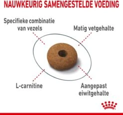 Royal Canin Appetite Control Care - Kattenvoer - 2 Kg -Katten Benodigdheden Winkel 1200x1128 2