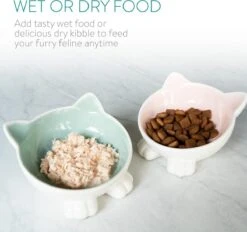 Navaris Voerbakjes Voor Katten - Set Van 2 Voer- En Waterbakken - Etensbak Van Keramiek - Met Antislip Voetjes - Kattenvorm - Roze/Groen 12 Navaris Voerbakjes Voor Katten - Set Van 2 Voer- En Waterbakken - Etensbak Van Keramiek - Met Antislip Voetjes - Kattenvorm - Roze/Groen -Katten Benodigdheden Winkel 1200x1128 8