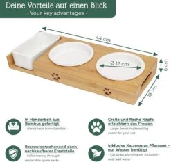Pfotenolymp® Voederstation Met Kattengras Voor Katten - Porseleinen Kattenbak/Voedingsbak - Verhoogde Kom Set Met Kattengrasbak - Voerbak Hoog -Katten Benodigdheden Winkel 1200x1133 2