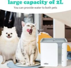Nobleza USB Drinkfontein Voor Hond/Kat - 2L - Incl. 2 Filters - Wit 19 Nobleza USB Drinkfontein Voor Hond/Kat - 2L - Incl. 2 Filters - Wit -Katten Benodigdheden Winkel 1200x1136 8