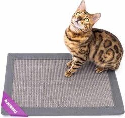Petrebels Mastermat 60 Katten Krabmat - Grijs - 60 X 40 Cm - Zeer Sterk -Katten Benodigdheden Winkel 1200x1137 13
