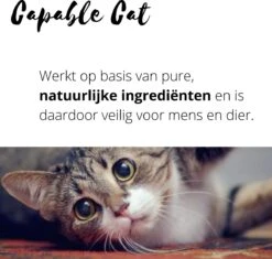 Capable Cat Vlooienband Kat | Vlooien | Luizen | Teken | Mijten | 8 Maanden Bescherming | Katten 13 Capable Cat Vlooienband Kat | Vlooien | Luizen | Teken | Mijten | 8 Maanden Bescherming | Katten -Katten Benodigdheden Winkel 1200x1142 3