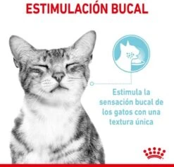 Royal Canin Sensory Multipack Mix - In Gravy - Kattenvoer - 12x85 G -Katten Benodigdheden Winkel 1200x1146 1