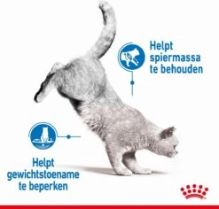 Royal Canin Light Weight Care - 3 Kg -Katten Benodigdheden Winkel 1200x1146 2