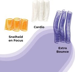 Pettadore Springs - Kattenveertjes - Kattenspeelgoed - Kattenspeeltjes - 9 Stuks -Katten Benodigdheden Winkel 1200x1147 4