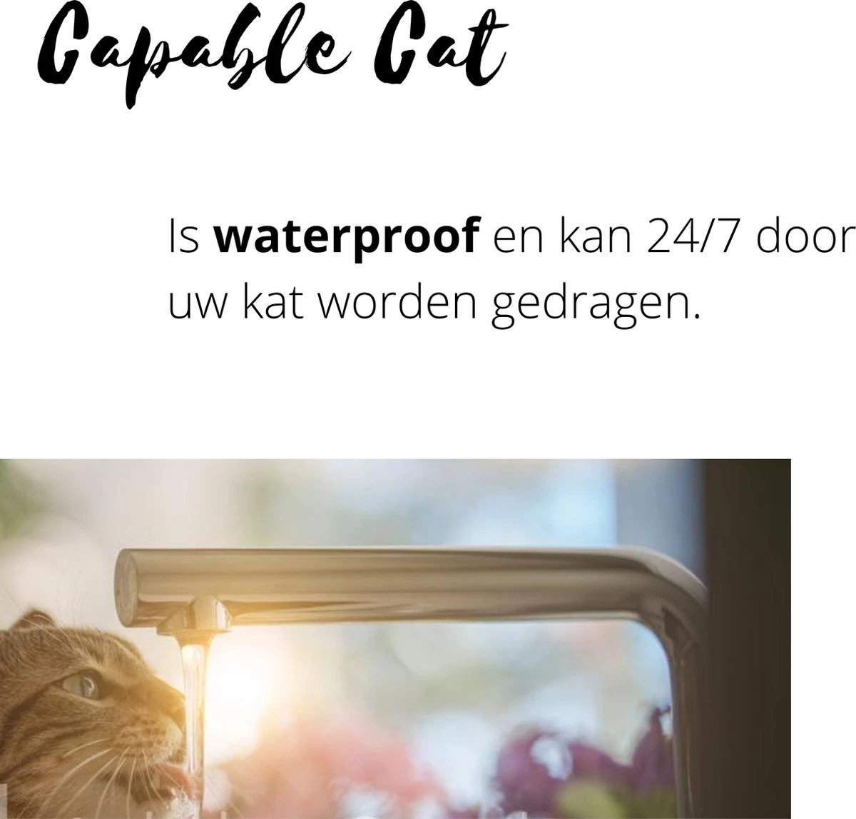 Capable Cat Vlooienband Kat | Vlooien | Luizen | Teken | Mijten | 8 Maanden Bescherming | Katten 5 Capable Cat Vlooienband Kat | Vlooien | Luizen | Teken | Mijten | 8 Maanden Bescherming | Katten - Afbeelding 3