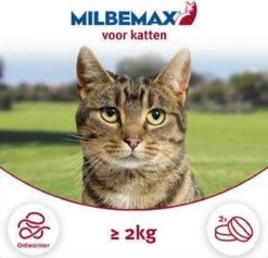 Milbemax Kat Groot - 1 ST à 2 X 2 TABL -Katten Benodigdheden Winkel 1200x1152 8