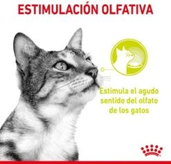 Royal Canin Sensory Multipack Mix - In Gravy - Kattenvoer - 12x85 G -Katten Benodigdheden Winkel 1200x1153 1