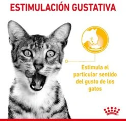 Royal Canin Sensory Multipack Mix - In Gravy - Kattenvoer - 12x85 G -Katten Benodigdheden Winkel 1200x1157 2