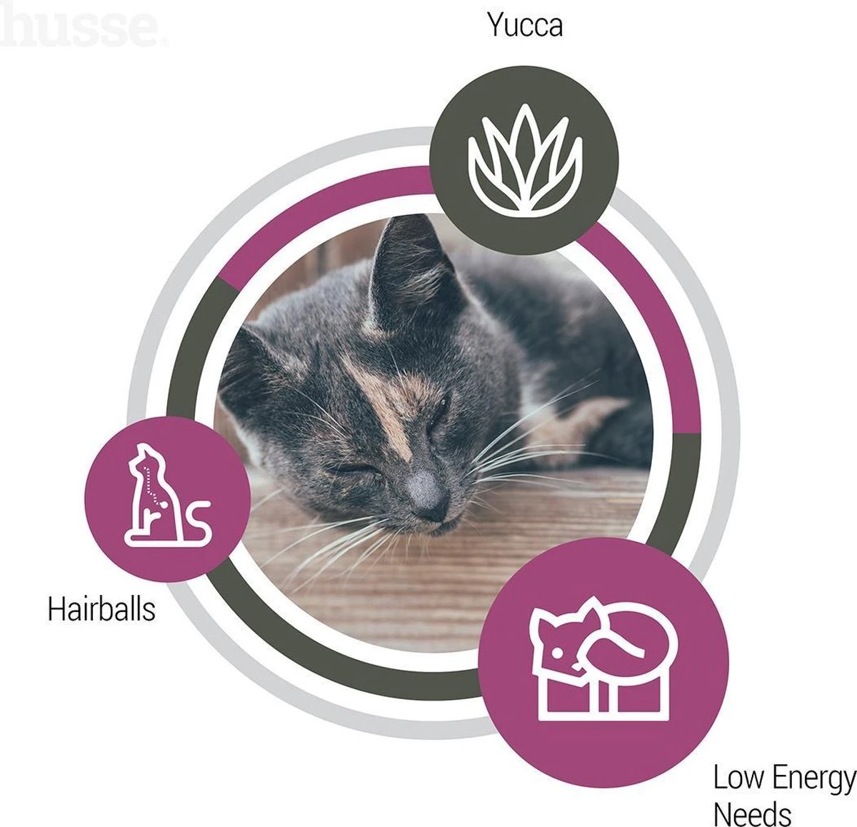 Husse Exclusive Katt Sterilised - Kattenvoer -7 Kg 8 Husse Exclusive Katt Sterilised - Kattenvoer -7 Kg - Afbeelding 6