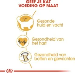 Royal Canin Ragdoll Adult - Kattenvoer - 10 Kg -Katten Benodigdheden Winkel 1200x1159 14