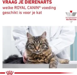 Royal Canin Hypoallergenic - Kattenvoer - 4,5 Kg -Katten Benodigdheden Winkel 1200x1160 16