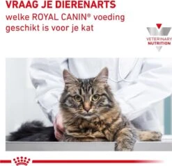 Royal Canin Renal - Tonijn - Kattenvoer - 12 X 85 G -Katten Benodigdheden Winkel 1200x1161 11