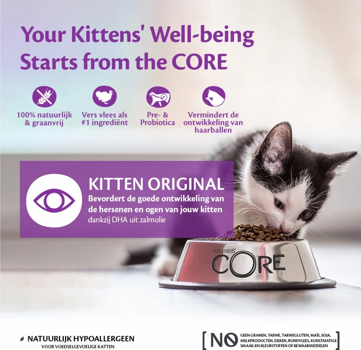 Wellness Core Grain Free Kitten - Kalkoen & Kip - Kattenvoer - 1.75 Kg 6 Wellness Core Grain Free Kitten - Kalkoen & Kip - Kattenvoer - 1.75 Kg - Afbeelding 4