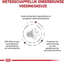 Royal Canin Fibre Response - Kattenvoer - 2 Kg -Katten Benodigdheden Winkel 1200x1162 20