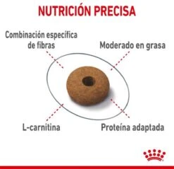 Royal Canin Appetite Control Care - Kattenvoer - 2 Kg -Katten Benodigdheden Winkel 1200x1162 22