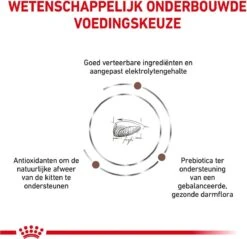 Royal Canin Gastrointestinal Kitten - 2 Kg 16 Royal Canin Gastrointestinal Kitten - 2 Kg -Katten Benodigdheden Winkel 1200x1162 4