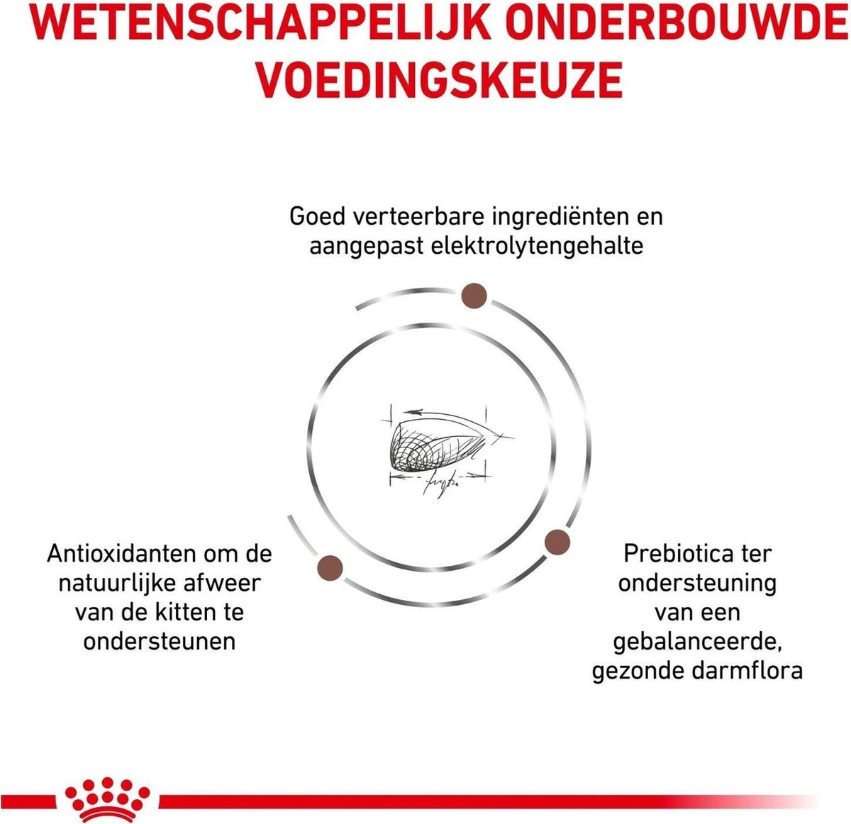 Royal Canin Gastrointestinal Kitten - 2 Kg 6 Royal Canin Gastrointestinal Kitten - 2 Kg - Afbeelding 4
