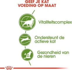Royal Canin Outdoor 7+ - 4 Kg -Katten Benodigdheden Winkel 1200x1164 1