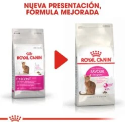 Royal Canin Savour Exigent - Kattenvoer - 4 Kg 22 Royal Canin Savour Exigent - Kattenvoer - 4 Kg -Katten Benodigdheden Winkel 1200x1164